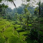 How-To Plan Your Dream Honeymoon in Bali