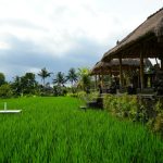 Experience Bali’s Ultimate Luxury: Crafting Your Perfect Day